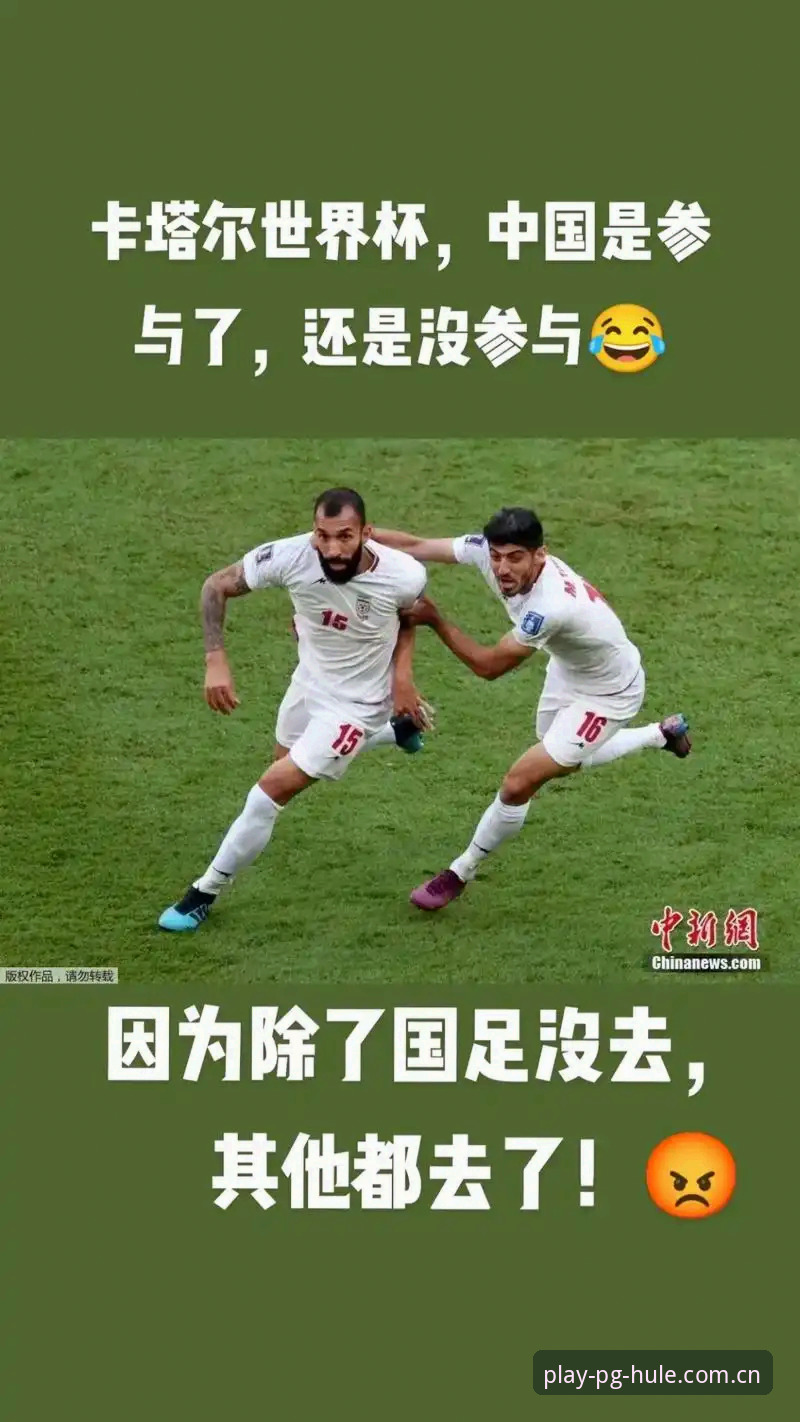 世界杯观赛困境深度评测：签证危机如何影响全球球迷体验